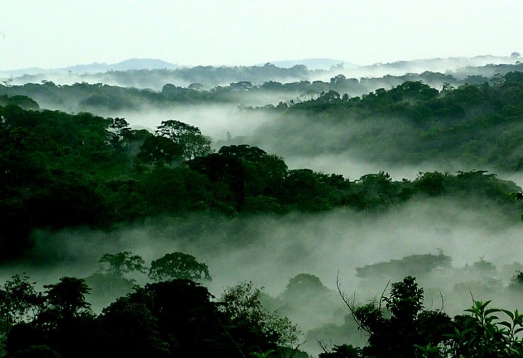 Featured Image